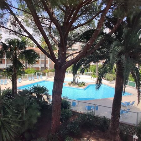 T2 Avec Piscine Et Salle De Sport, A 400M De La Plage, Parking Inclus - Golfe-Juan - Fr-1-252-140 Daire Vallauris Dış mekan fotoğraf